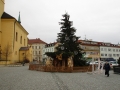 Stromek a betlém na náměstí TGM